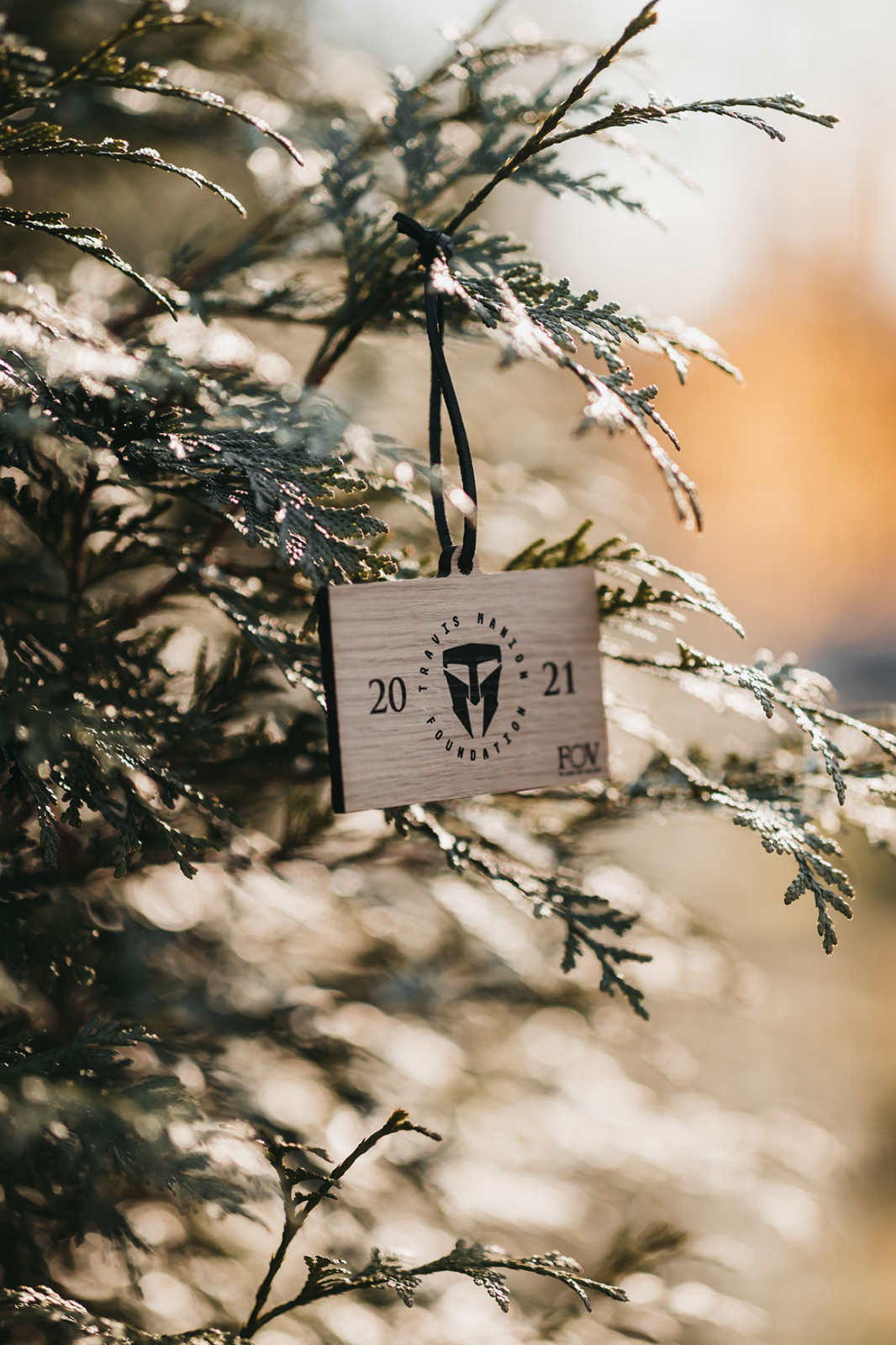 Flags of Valor Custom TMF Ornament- 2021